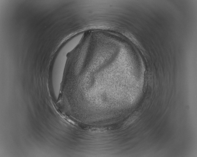 X0000082140434200702092129