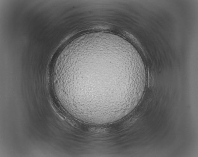 X0000082140435200702092129