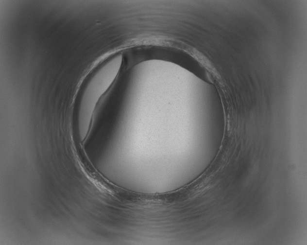 X0000082140438200702092129