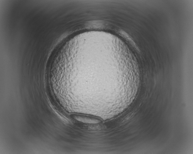 X0000082140439200702092129