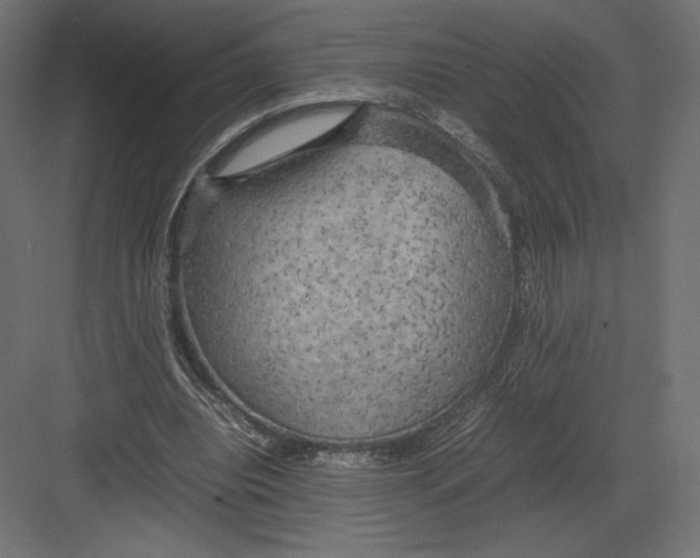 X0000082140440200702092129