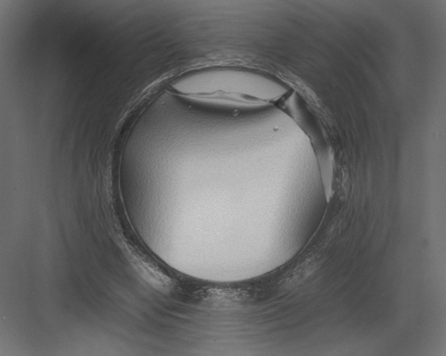 X0000082140442200702092129