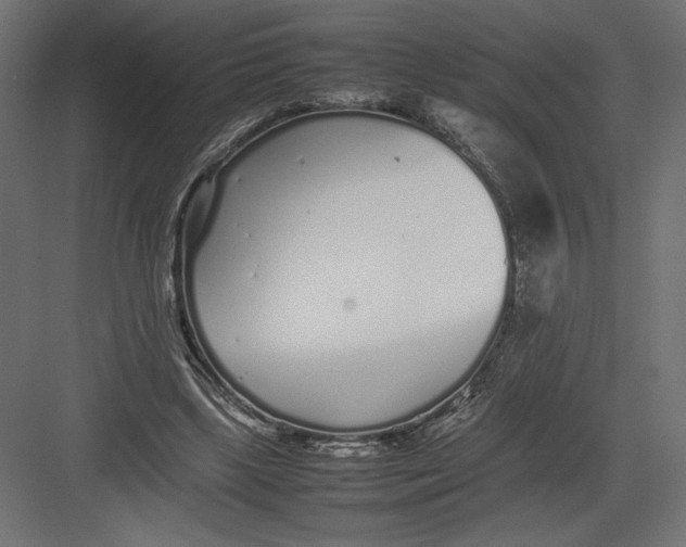 X0000082140443200702092129