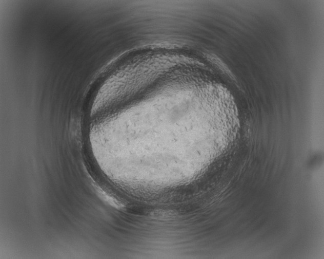 X0000082140444200702092129