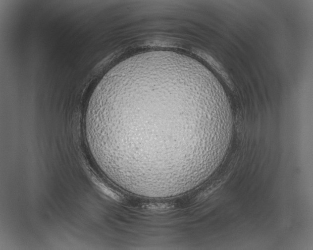 X0000082140445200702092129