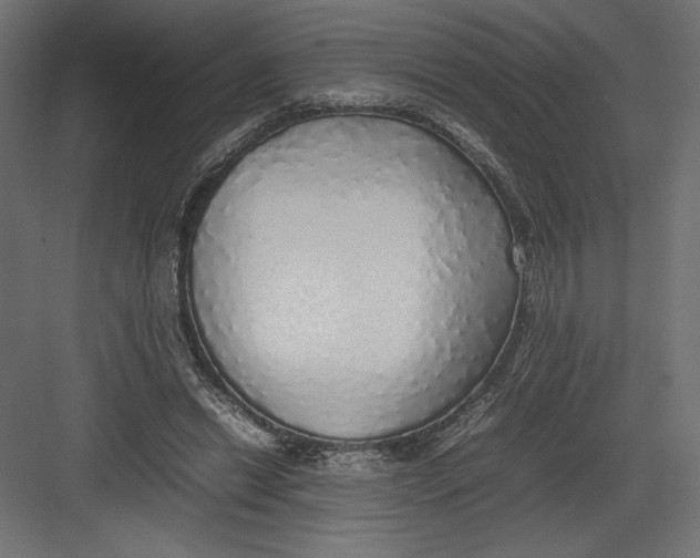 X0000082140446200702092129