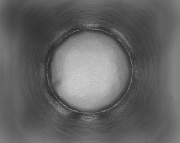 X0000082140447200702092129