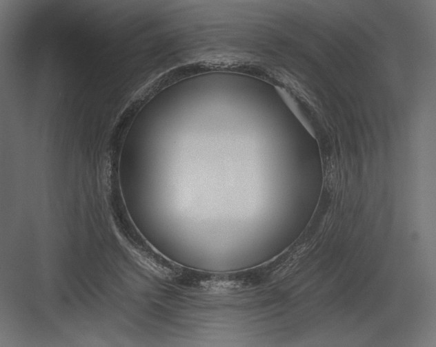 X0000082140448200702092129