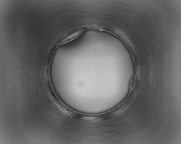 X0000082140449200702092129