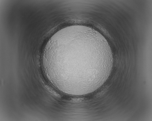 X0000082140450200702092129