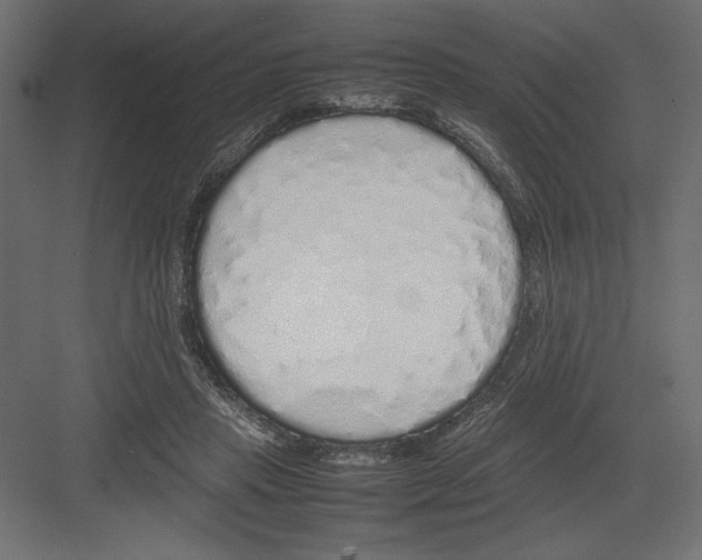 X0000082140453200702092129