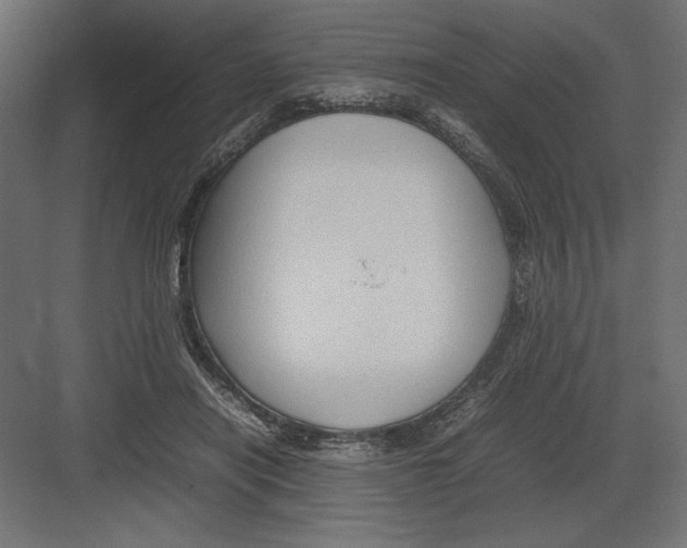 X0000082140454200702092129