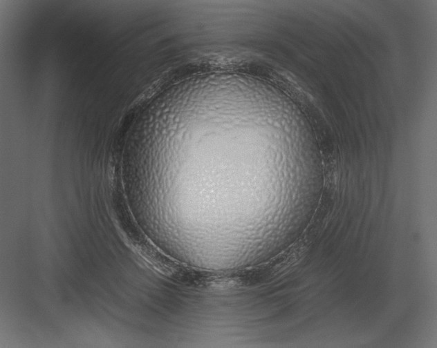 X0000082140456200702092129