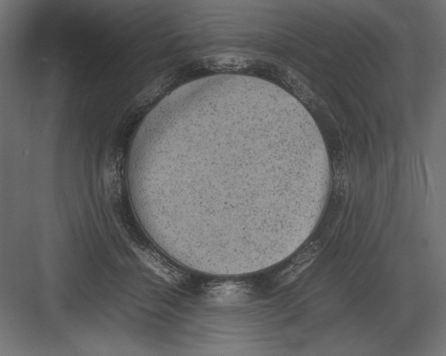 X0000082140460200702092130