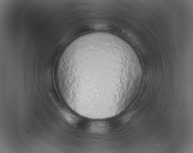 X0000082140461200702092130