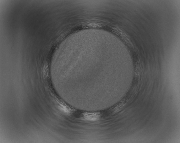 X0000082140465200702092130