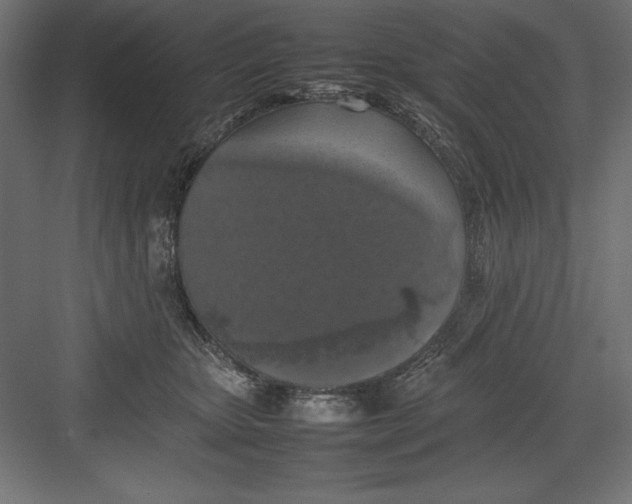 X0000082140467200702092130