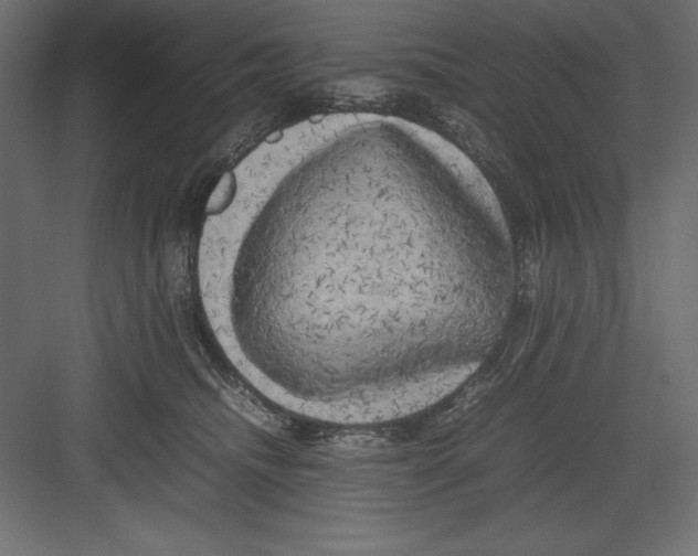 X0000082140468200702092130