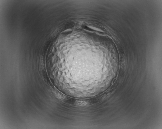 X0000082140469200702092130