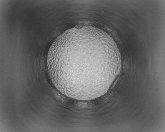 X0000082140473200702092130