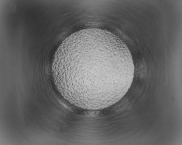 X0000082140474200702092130