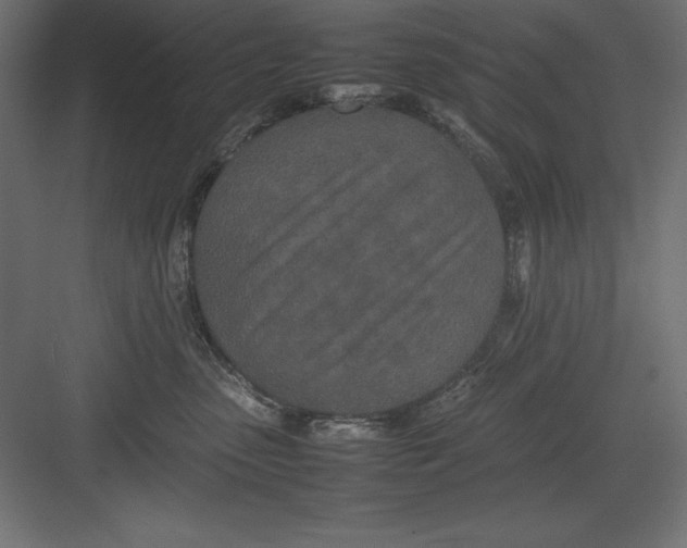 X0000082140475200702092130