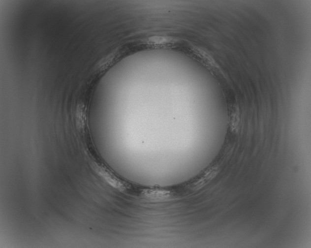 X0000082140476200702092130