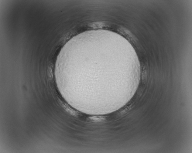 X0000082140477200702092130