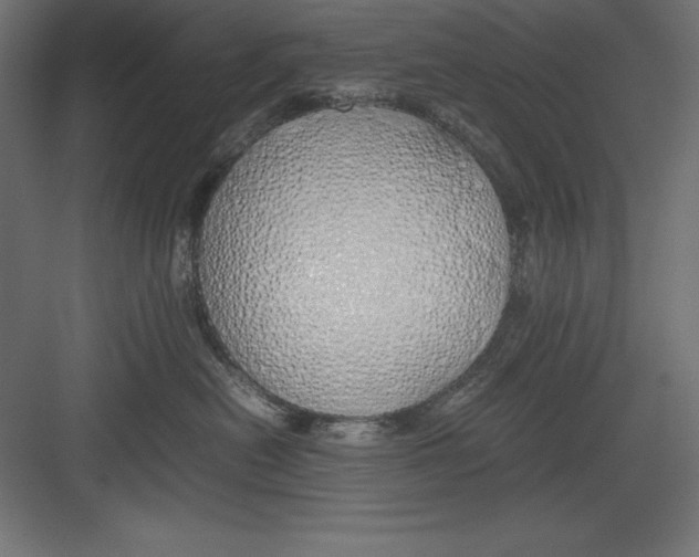 X0000082140478200702092130