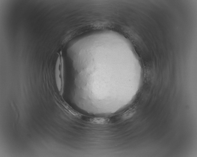 X0000082140479200702092130