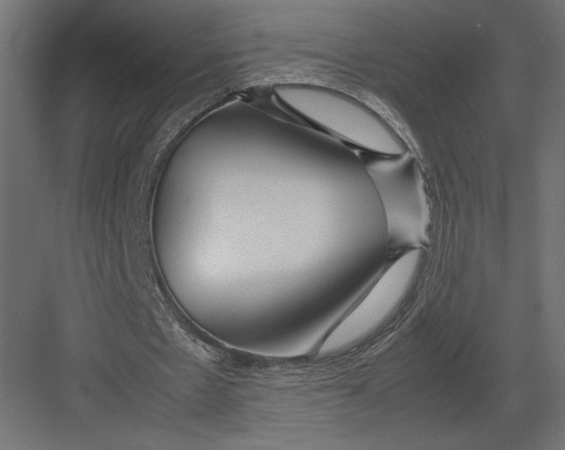 X0000082140481200702092129