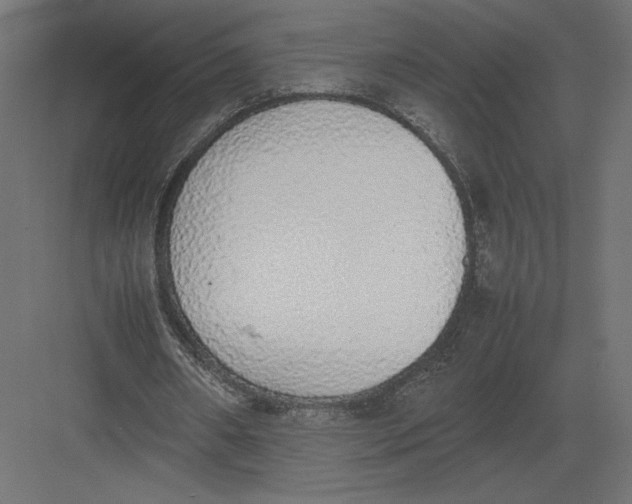 X0000082140482200702092129