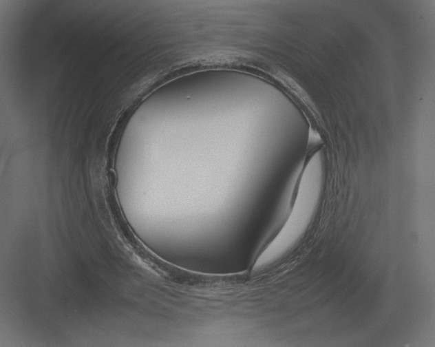 X0000082140485200702092129