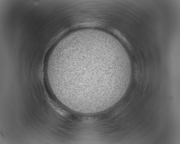 X0000082140486200702092129