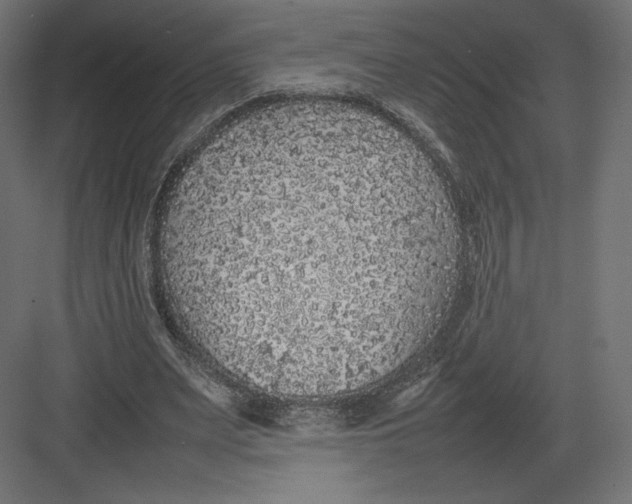 X0000082140487200702092129