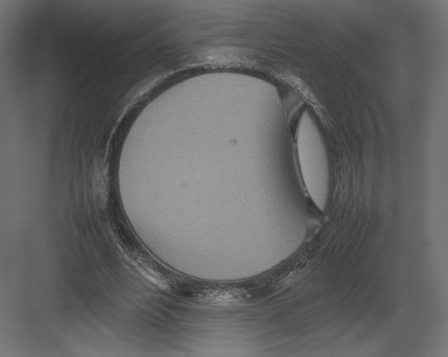 X0000082140488200702092129