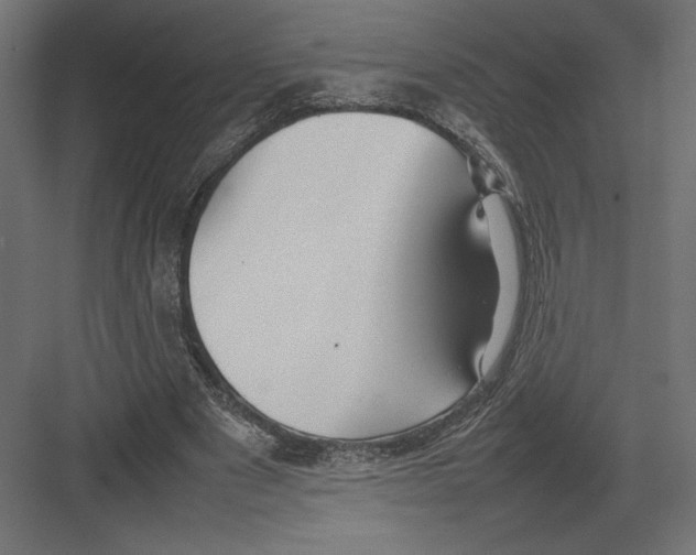 X0000082140489200702092129