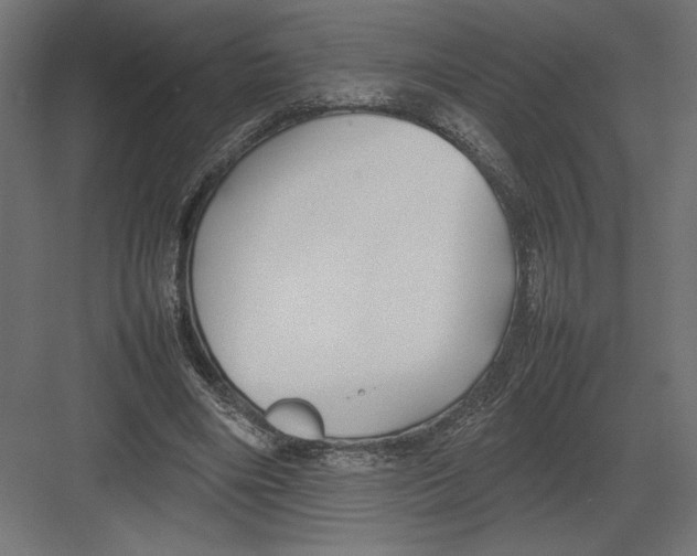 X0000082140490200702092129