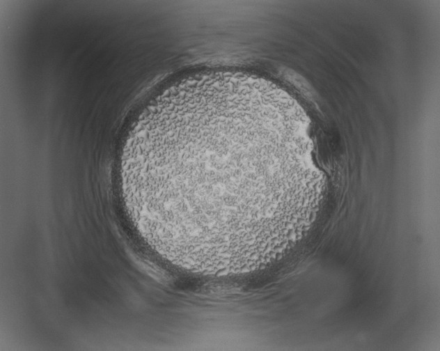 X0000082140491200702092129