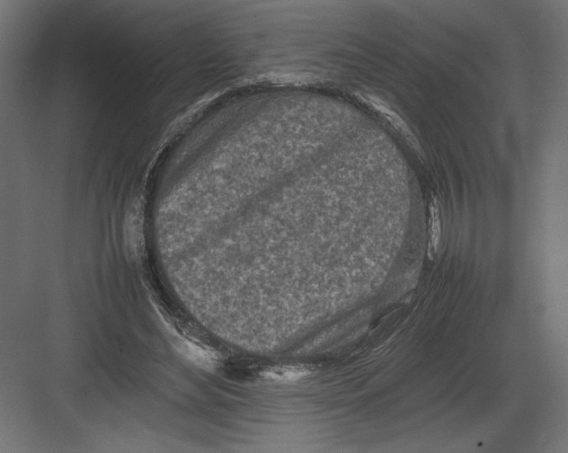 X0000082140492200702092129