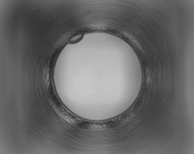 X0000082140494200702092129