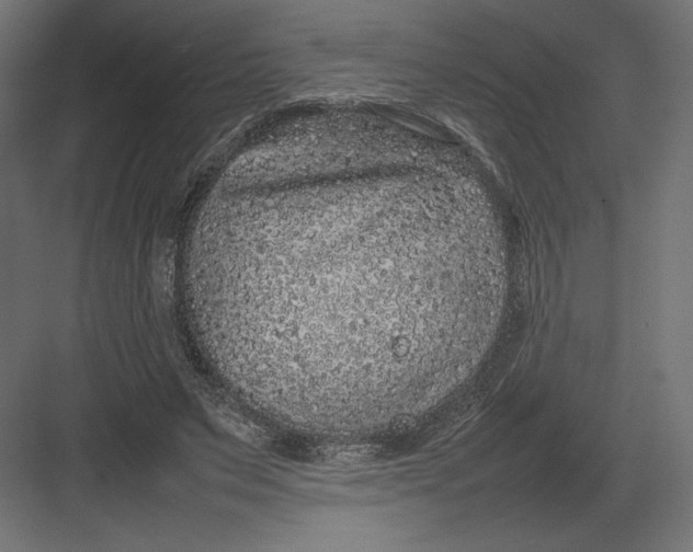 X0000082140495200702092129