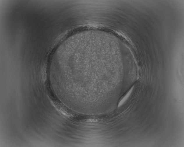 X0000082140496200702092129