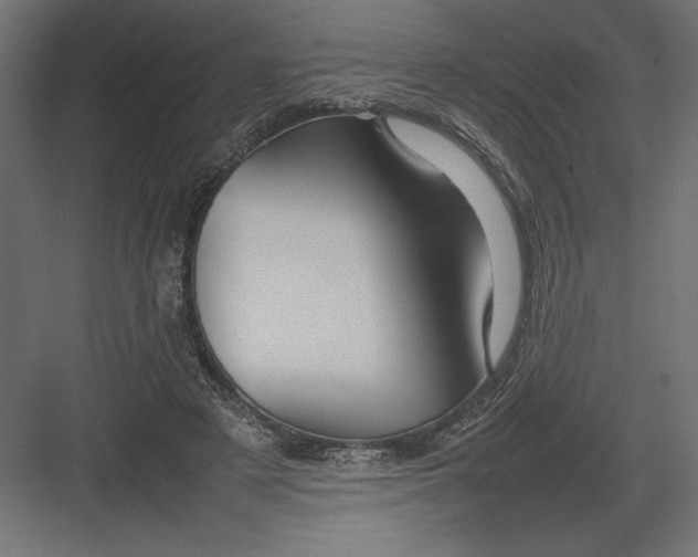 X0000082140497200702092129