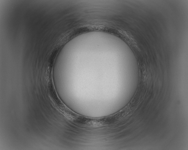 X0000082140498200702092129