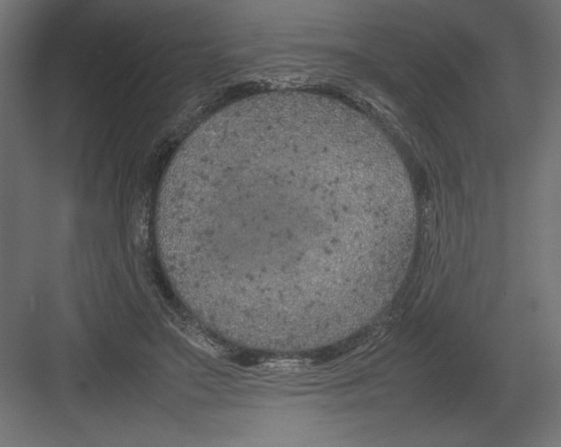 X0000082140499200702092129