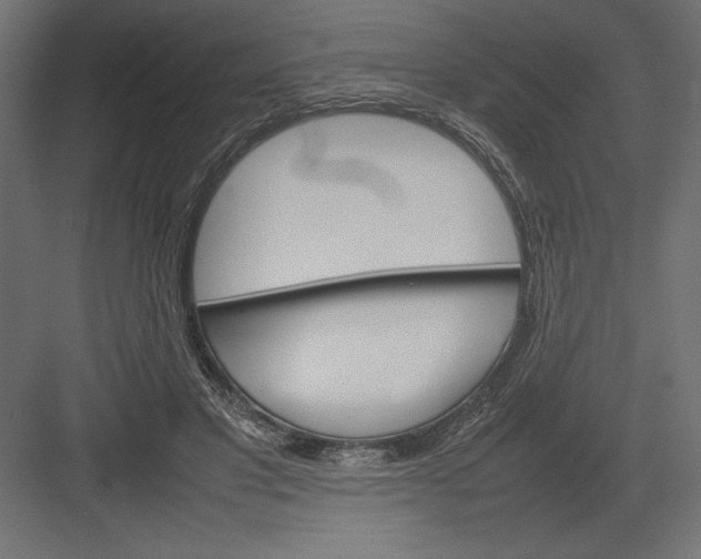 X0000082140501200702092129