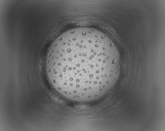 X0000082140503200702092129