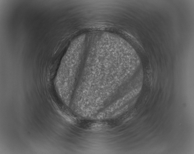 X0000082140504200702092129