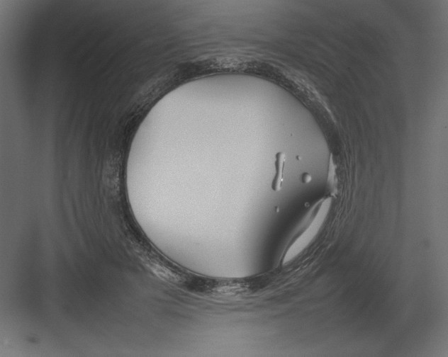 X0000082140505200702092129